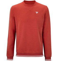 Кофта для мальчика теннисная Tecnifibre Team Terry Junior - terracotta