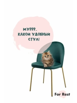 Стул "Мале" 1 шт. Антивандальная ткань, Золотые ножки