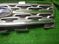 DSCN6488.JPG