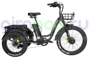 Электровелосипед Syccyba Trike 2.0 фото №10