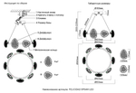 Подвесная светодиодная люстра Crystal Lux FELICIDAD SP64W LED