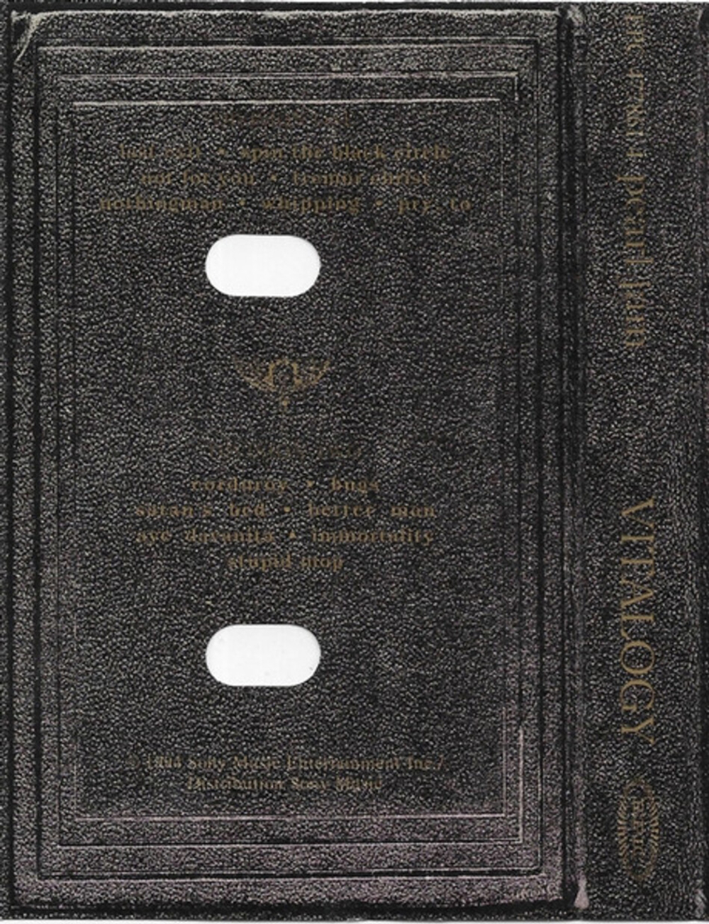 Pearl Jam / Vitalogy (MC)