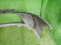 DSCN3266.jpg