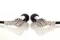 Final Audio Heaven VII Polished Silver