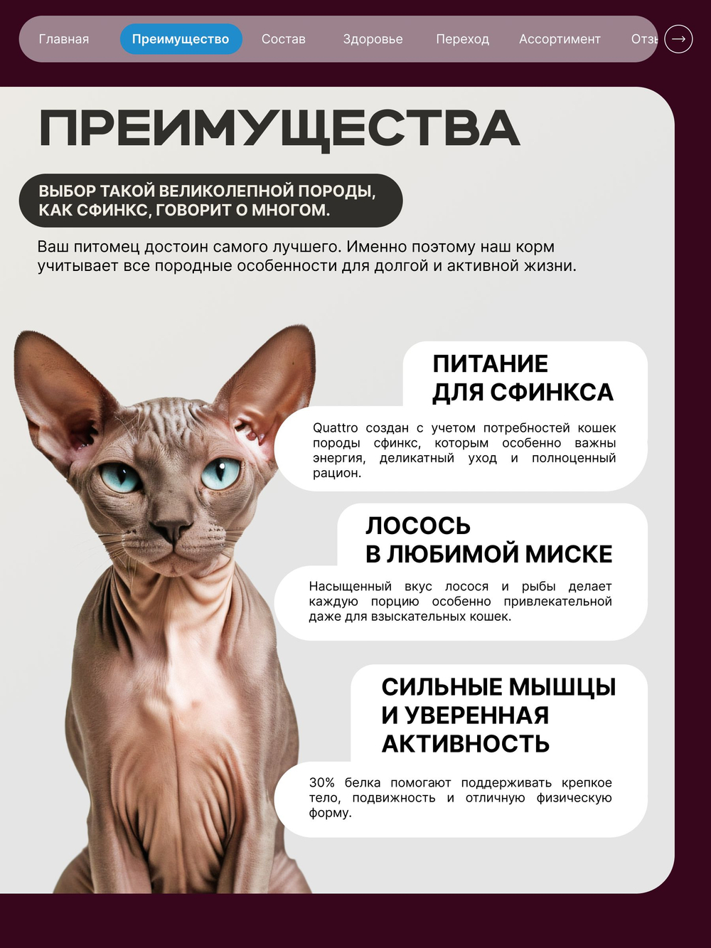 Корм сухой полнорационный для взрослых кошек породы Сфинкс, с лососем, 5 кг, QUATTRO