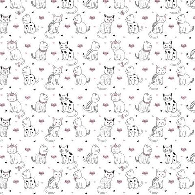 Котики