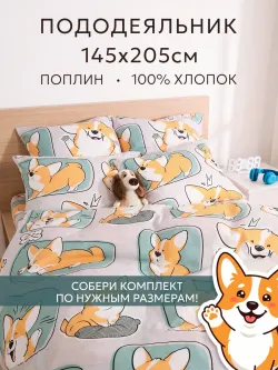 Пододеяльник 1.5 145х205 на молнии поплин Корги