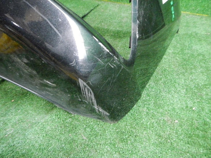 DSCN4411.JPG