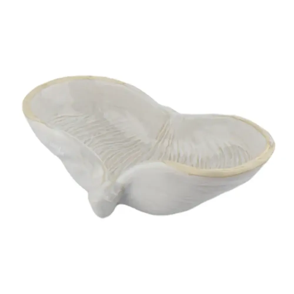 Салатник 325 мл 24,5*16 см h7 см емкость для закусок Gray Shell Frutti di Mare P.L. [1]