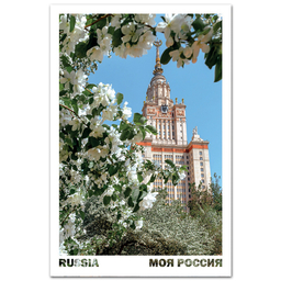 Архитектура