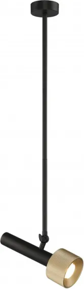 Подвесной светильник Delta 2361-1 BK+BR iLedex
