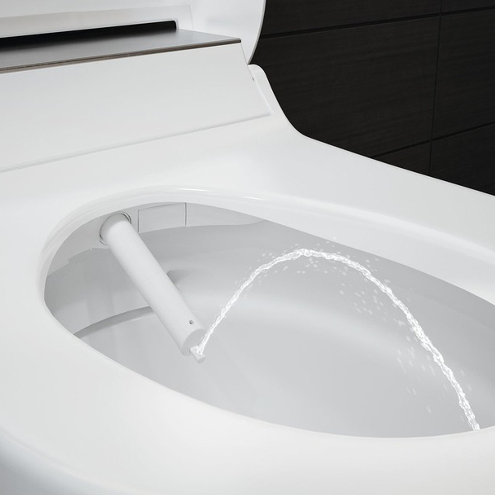 Электронный унитаз Geberit AquaClean Tuma Comfort 146.294.SI.1 (панель белое стекло)