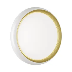 Настенно-потолочный светильник Tofiq White 7650/DLN Sonex