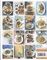 Save with Jamie : Shop Smart, Cook Clever, Waste Less