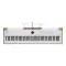 Arturia AstroLab 88 White