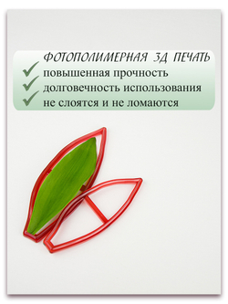 Лист тюльпана. Набор 1