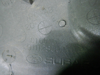 DSCN6452.JPG