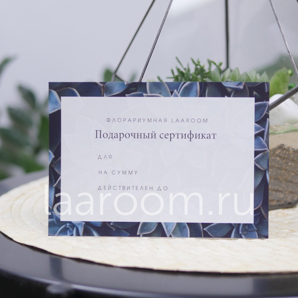 Подарочный сертификат
