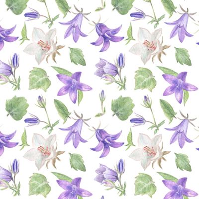 Колокольчики. Bluebells