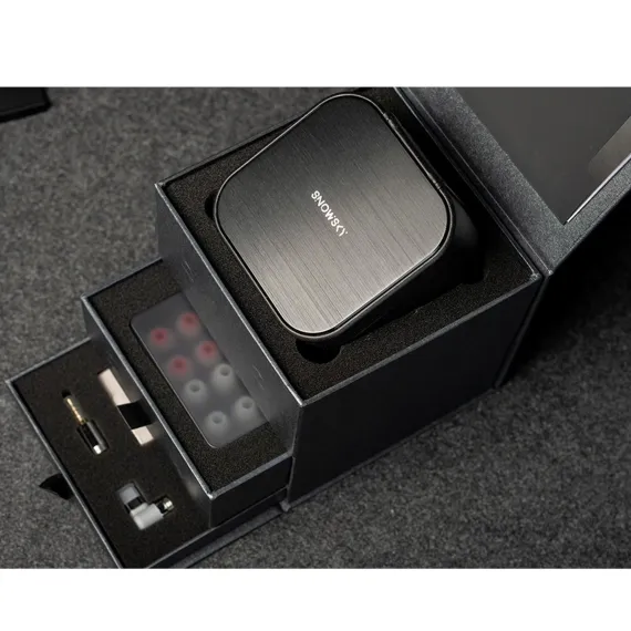 FiiO Snowsky Oak Nano Silver