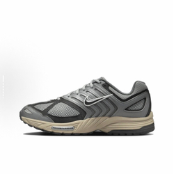 Кроссовки Nike Air Pegasus 2005