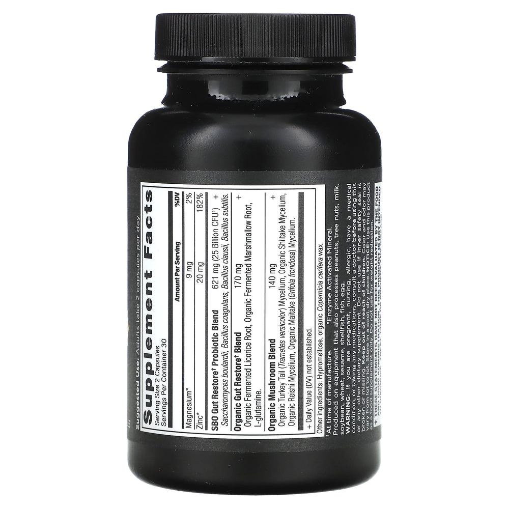 Ancient Nutrition, SBO, пробиотики, 25 млрд КОЕ, 60 капсул