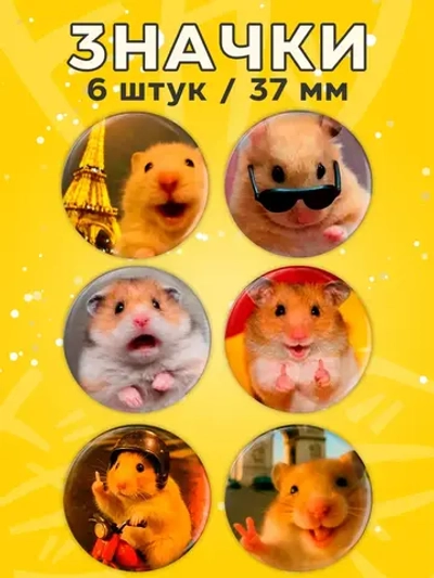 Значки на рюкзак мем хомяк