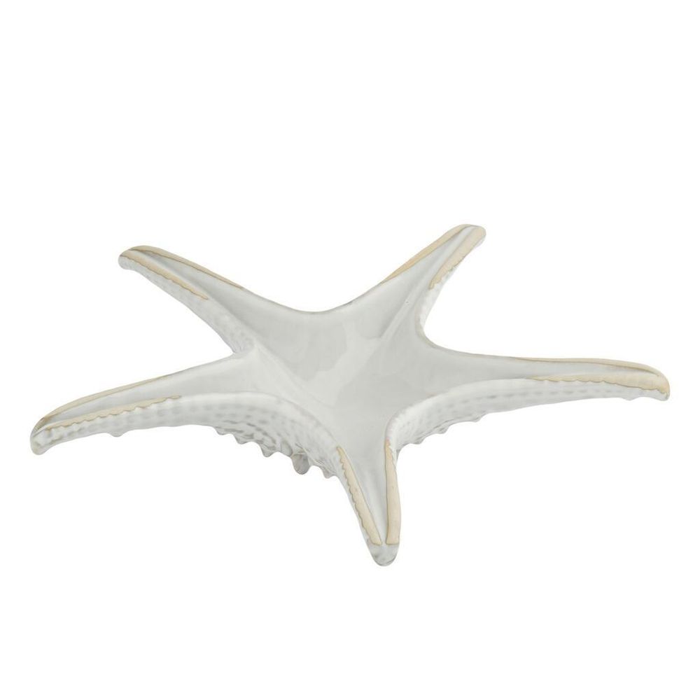 Блюдо для подачи 24 см h6 см для закусок Звезда Gray Starfish Frutti di Mare P.L. [1]