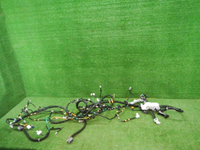 DSCN2546.JPG