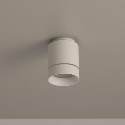 Citilux Борн CL745010N LED Светильник накладной Белый