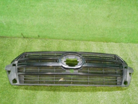 Решетка радиатора Toyota Land Cruiser 200 (15-21)