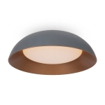 Потолочный светодиодный светильник Freya Moonlight FR5277CL-L72GR