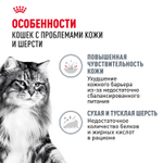 Royal Canin Hair&Skin Care Хэйр Энд Скин Корм влажный для взрослых кошек поддержание здоровья кожи и шерсти соус 85г
