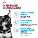 Royal Canin Maxi Puppy Макси Паппи Корм сухой для щенков крупных размеров в возрасте до 15 месяцев 3кг