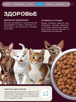 Корм сухой для взрослых стерилизованных кошек породы Канадский сфинкс, полнорационный комплекс, с лососем, 2 кг, QUATTRO