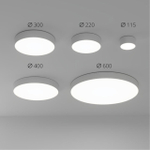 Потолочный светодиодный светильник Arte Lamp FADO A6612PL-1WH