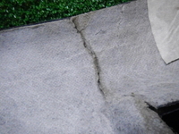 DSCN1202.JPG