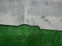 DSCN6307.JPG