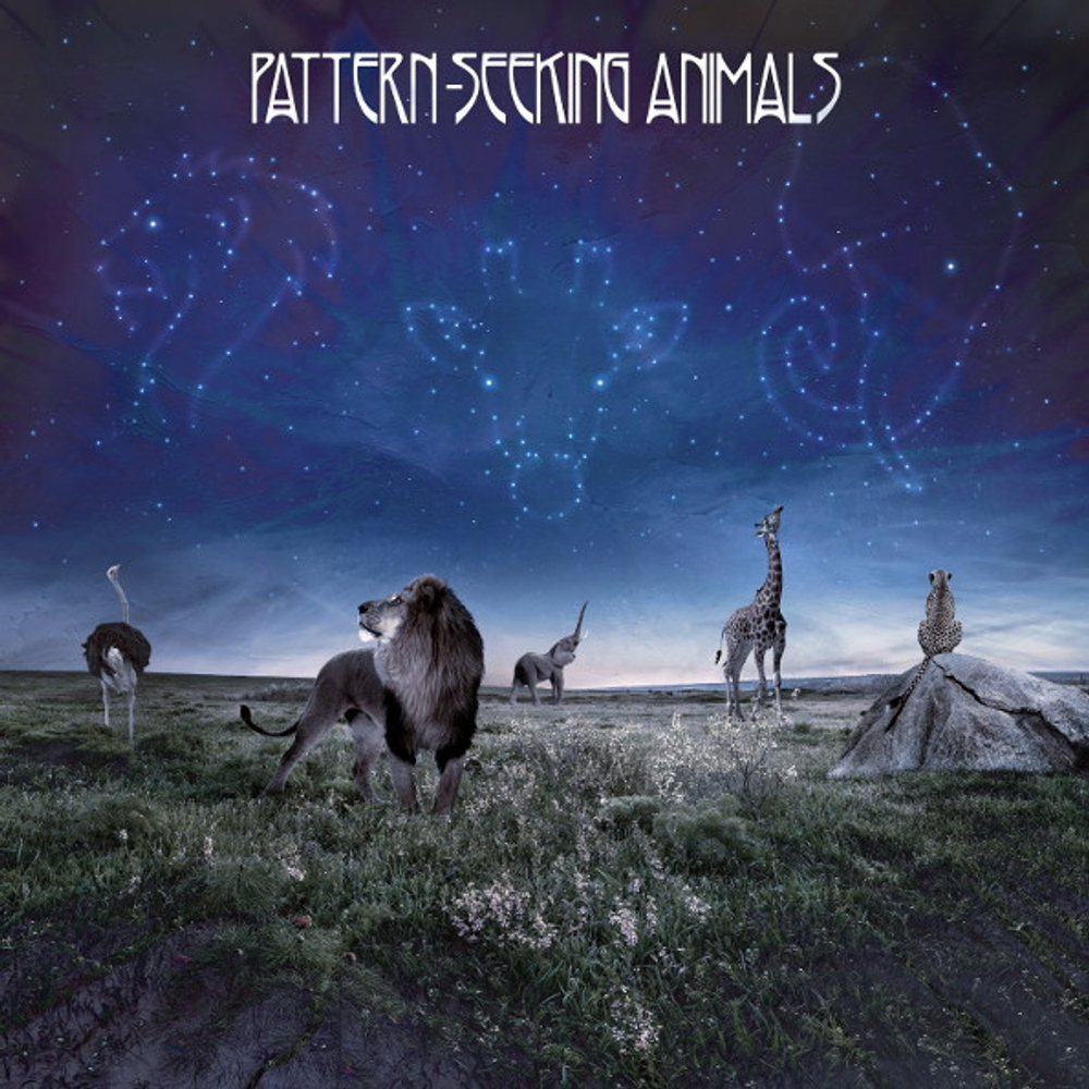 Pattern-Seeking Animals / Pattern-Seeking Animals (CD)