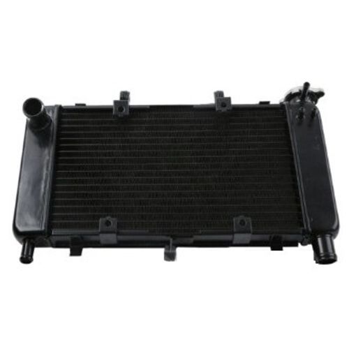 Купить    Радиатор для Yamaha FZ6, FZ6N, FZ6-N, FZ6S  04-10