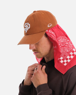 Кепка Anteater 6Panel Терракот