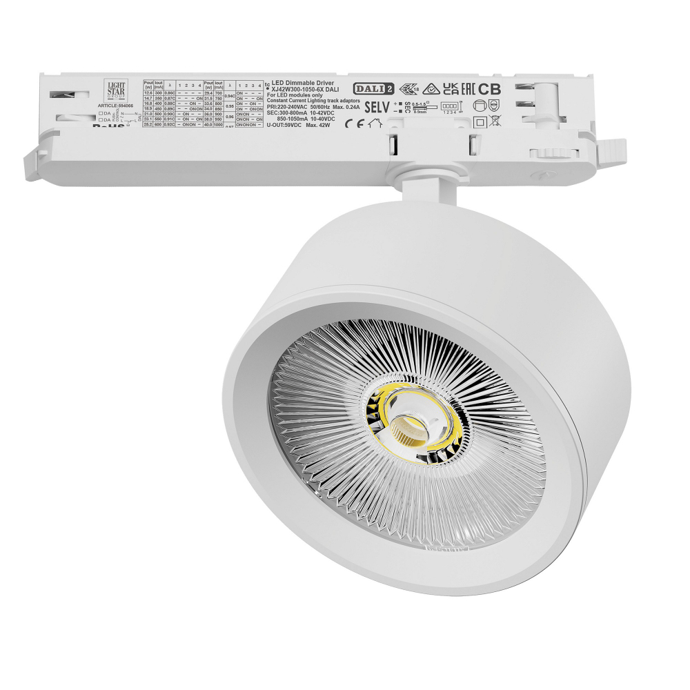 Светильник на штанге Lightstar Alta Pro A5636DALI