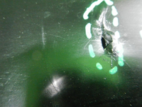 DSCN8199.JPG