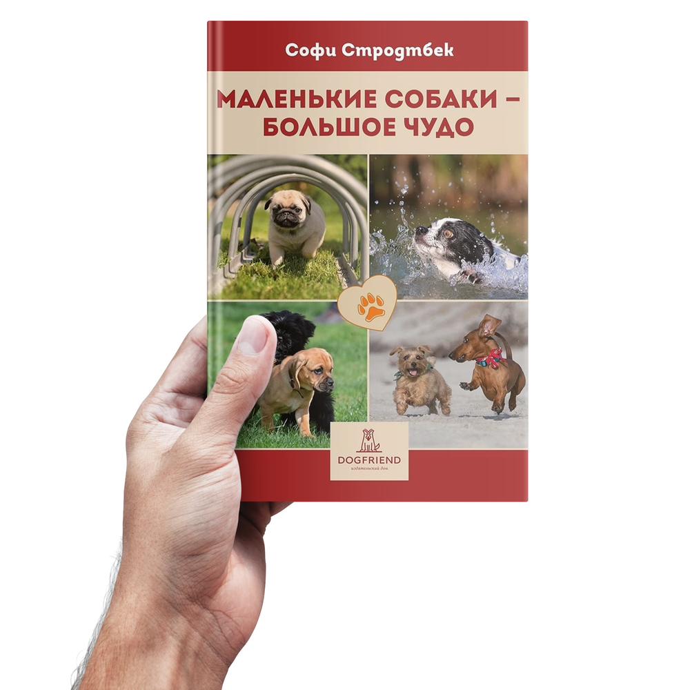 Софи Стродтбек. Маленькие собаки - большое чудо