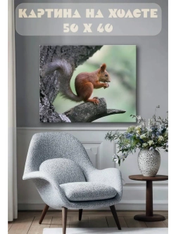 Картина на стену 40 X 50 Белка