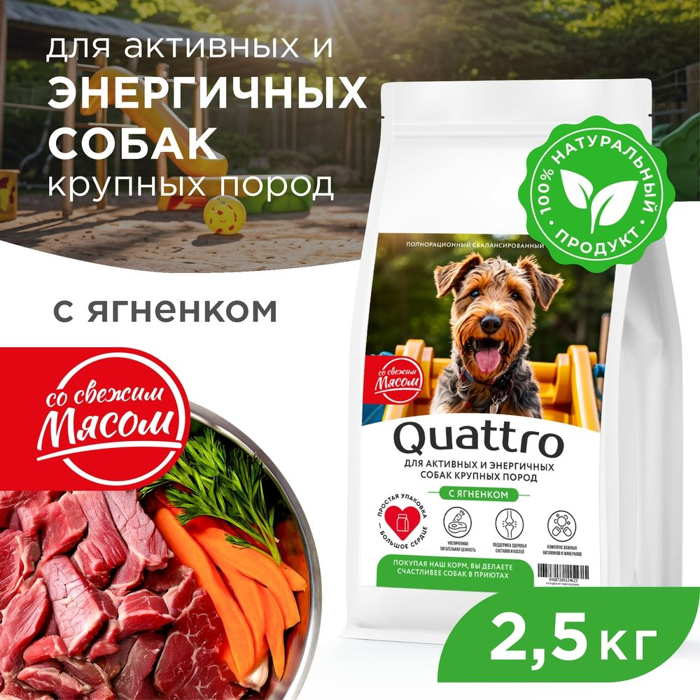 Корм сухой для взрослых собак крупных пород, премиум полнорационный комплекс, для активных и энергичных, с ягненком, 2,5 кг, QUATTRO