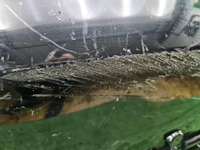 20241031_113916.JPG
