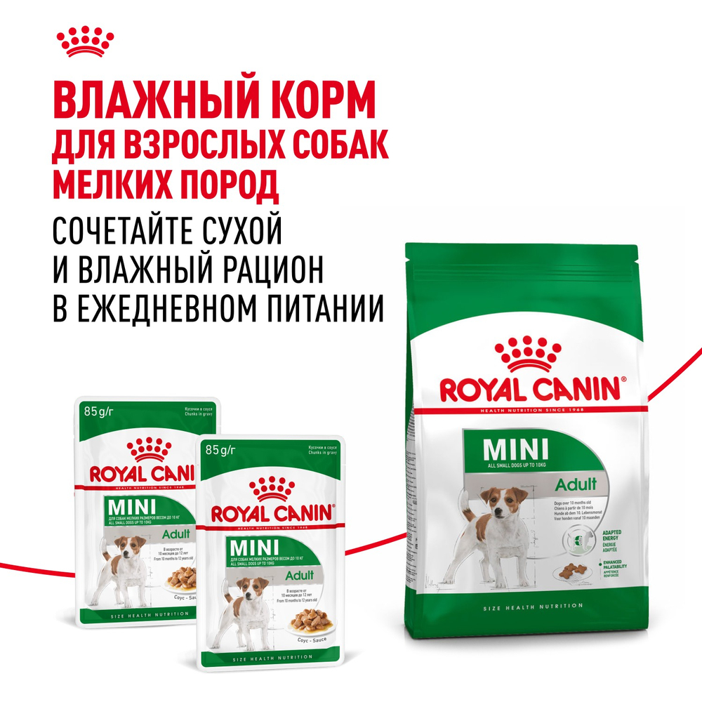 Royal Canin Mini Adult Мини Эдалт Корм сухой для взрослых собак мелких пород от 10 месяцев и старше 2кг