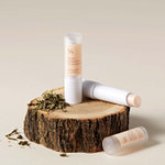 DR.CEURACLE VEGAN KOMBUCHA TEA LIP BALM Веганский бальзам для губ с чаем комбуча
