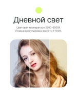 Осветитель светодиодный Raylab RL-40BI 2500-6500K 40W 3400mAh c акс-ми
